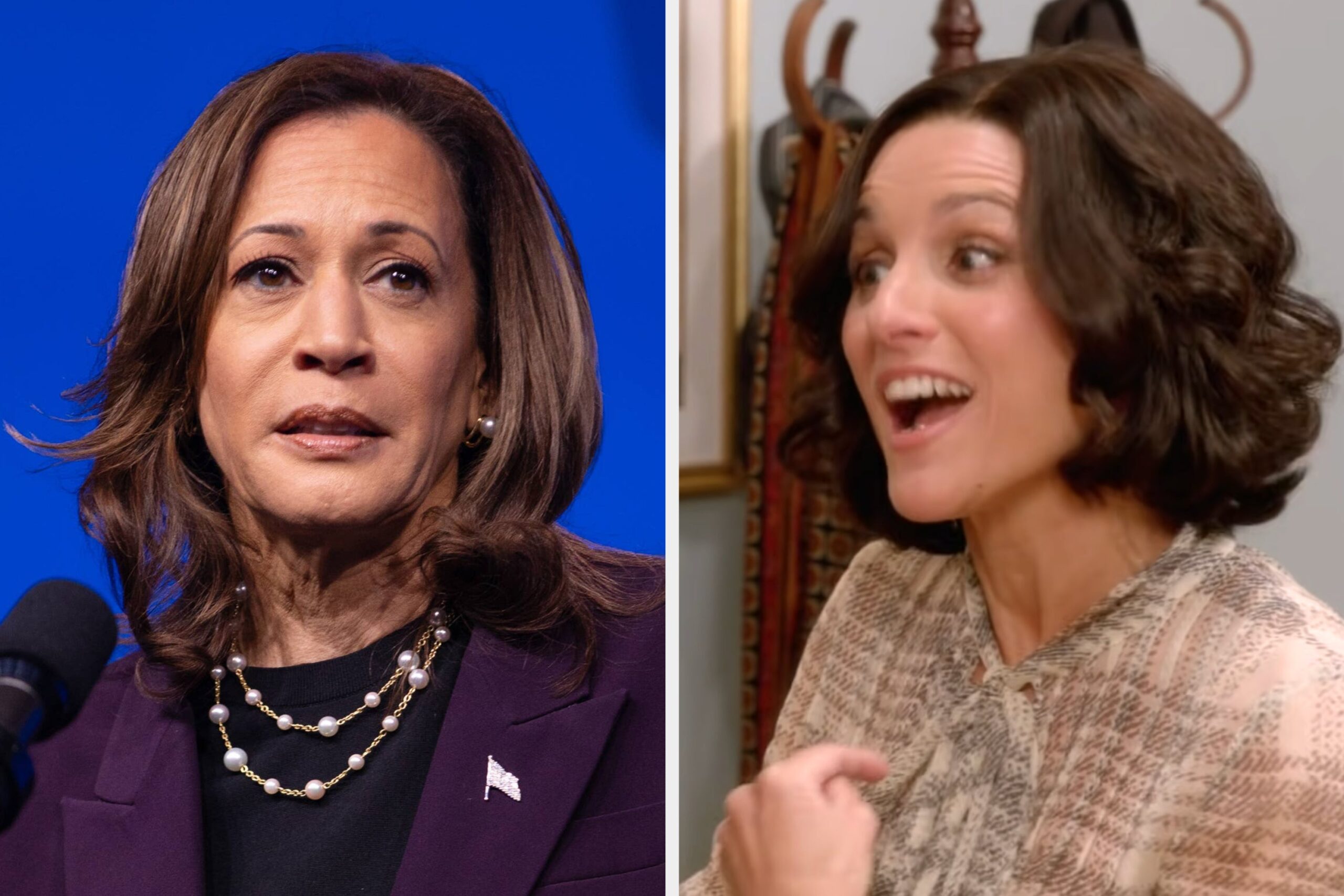 Un Producteur de « Veep » Compare Donald Trump à Selina Meyer Plutôt Qu’à Kamala Harris — Découvrez Pourquoi !