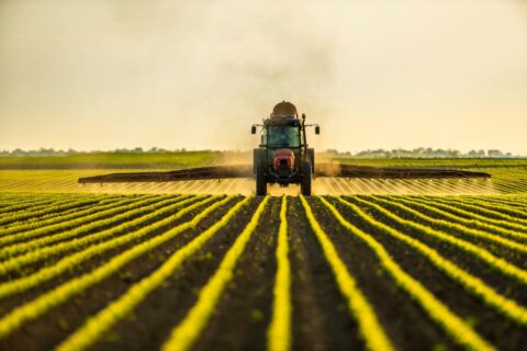 Micropep utilise de minuscules protéines pour rendre les pesticides plus sûrs !