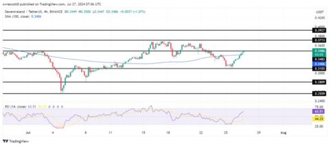 MANA S’envole : L’Optimisme du Marché Relance Vers le Niveau de 0,3713 $ !