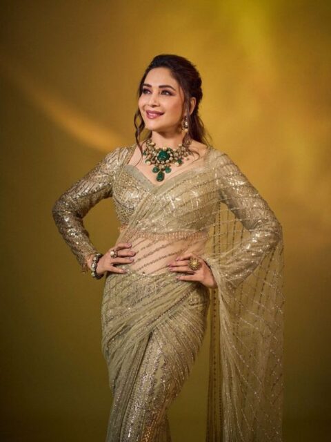 Madhuri Dixit : La passion du scintillement !