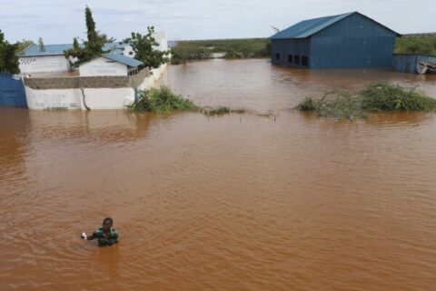 NEMA dévoile les 8 LGAs du Yobe menacées par les inondations !