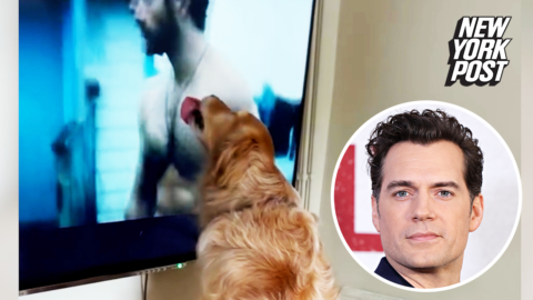 Le meilleur ami de Superman : une vidéo adorable d’un chien fou de Henry Cavill !