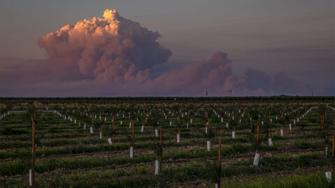 L’incendie de parc en Californie crée des nuages d’orage de fumée spectaculaires