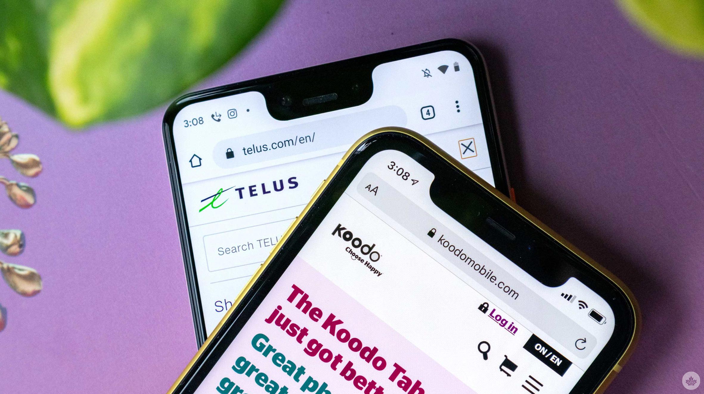 Telus propose une offre irrésistible : 200 Go pour seulement 65 $ aux clients Koodo qui passent à l’action par SMS !