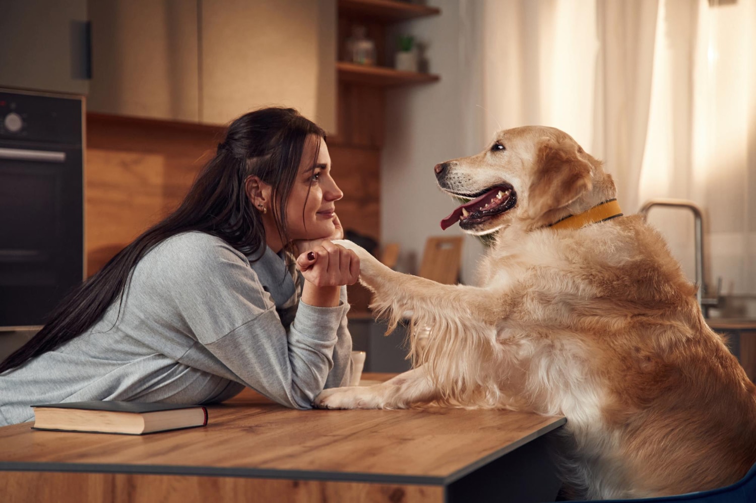 Les chiens réagissent au stress humain en prenant des décisions plus pessimistes !