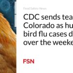 Le CDC envoie une équipe au Colorado alors que les cas de grippe aviaire chez l’homme doublent en un week-end !