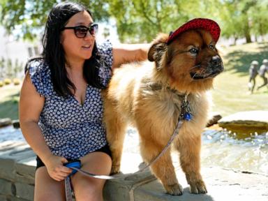 Chaussons, parcs canins intérieurs et conseils vétérinaires : Comment garder nos animaux au frais cet été !