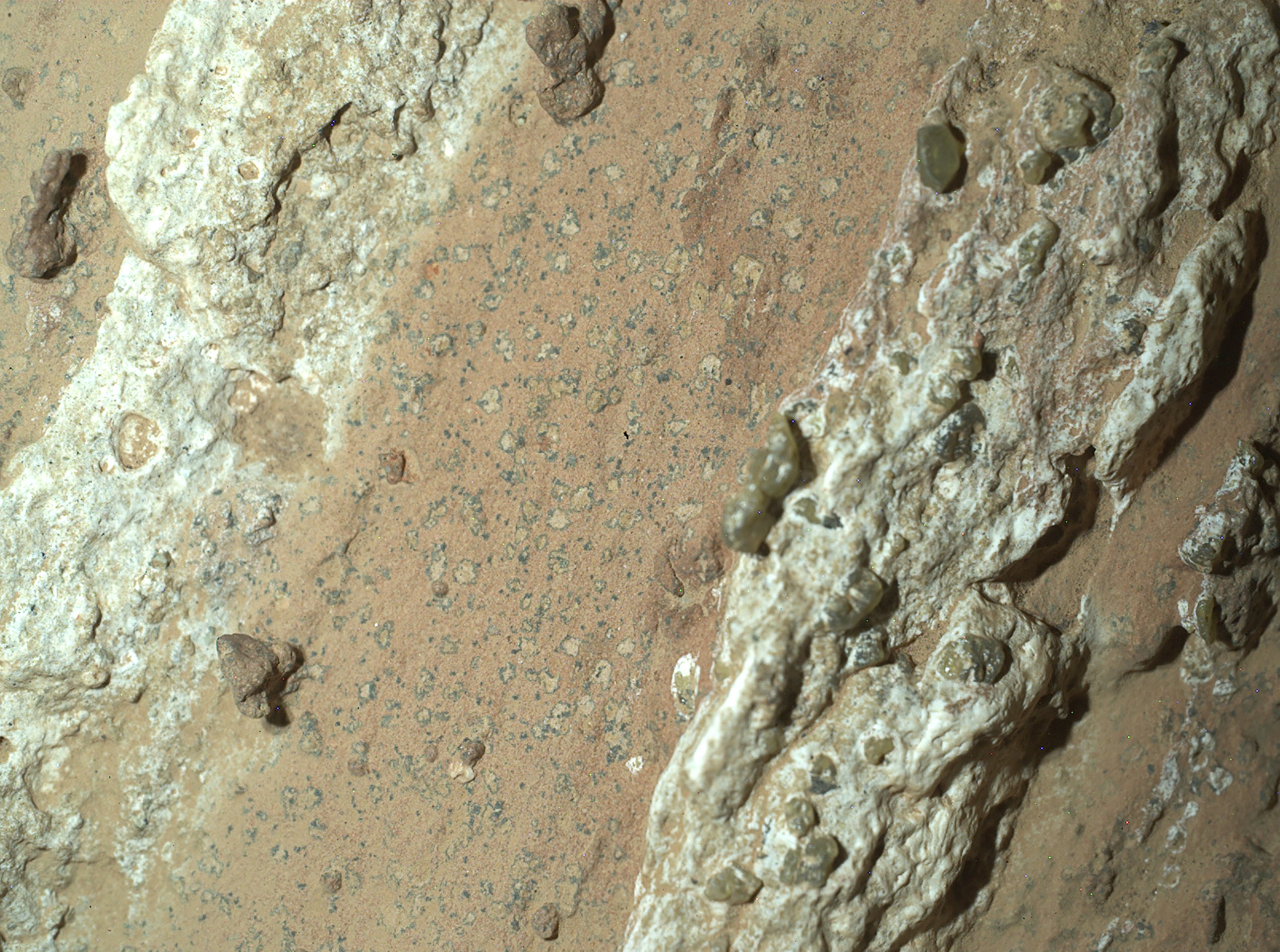 Une image de « Cheyava Falls », une roche découverte sur Mars avec des dépôts minéraux curieux qui pourraient être des signes de vie extraterrestre ancienne.