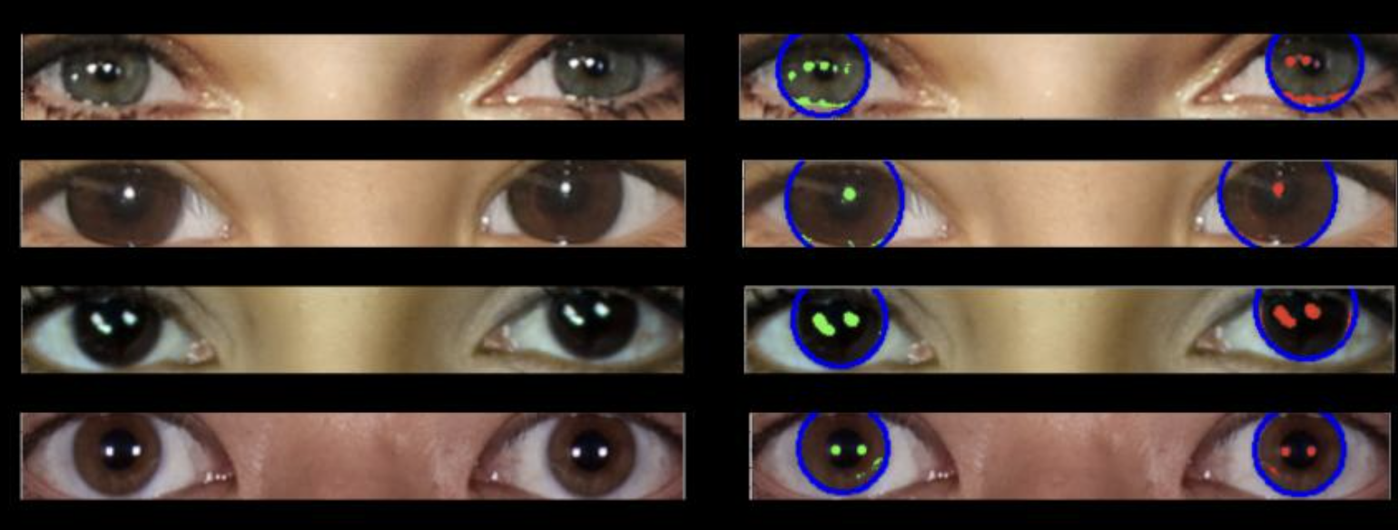 Une série d'yeux réels montrant des réflexions lumineuses cohérentes.