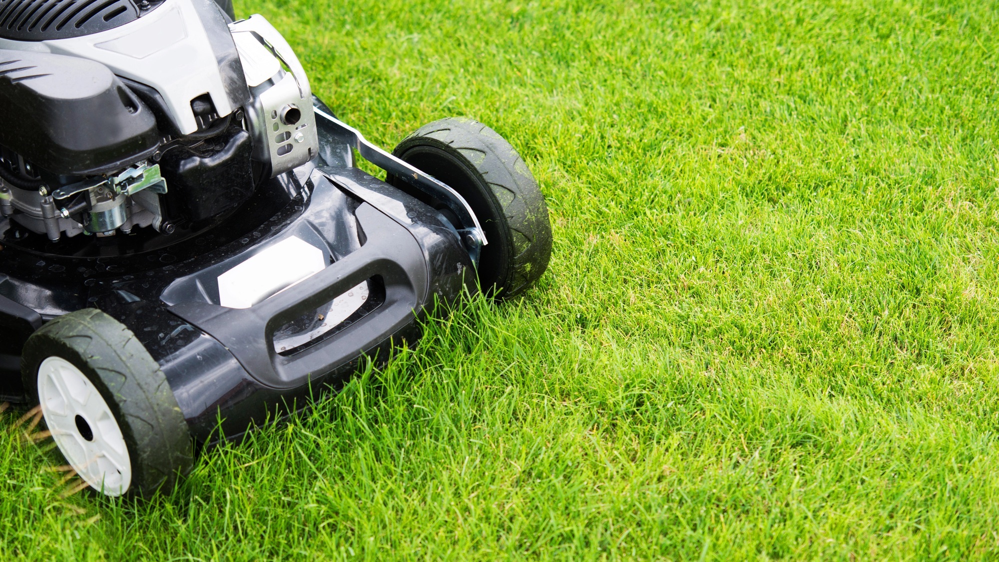 une tondeuse à gazon coupe de l'herbe