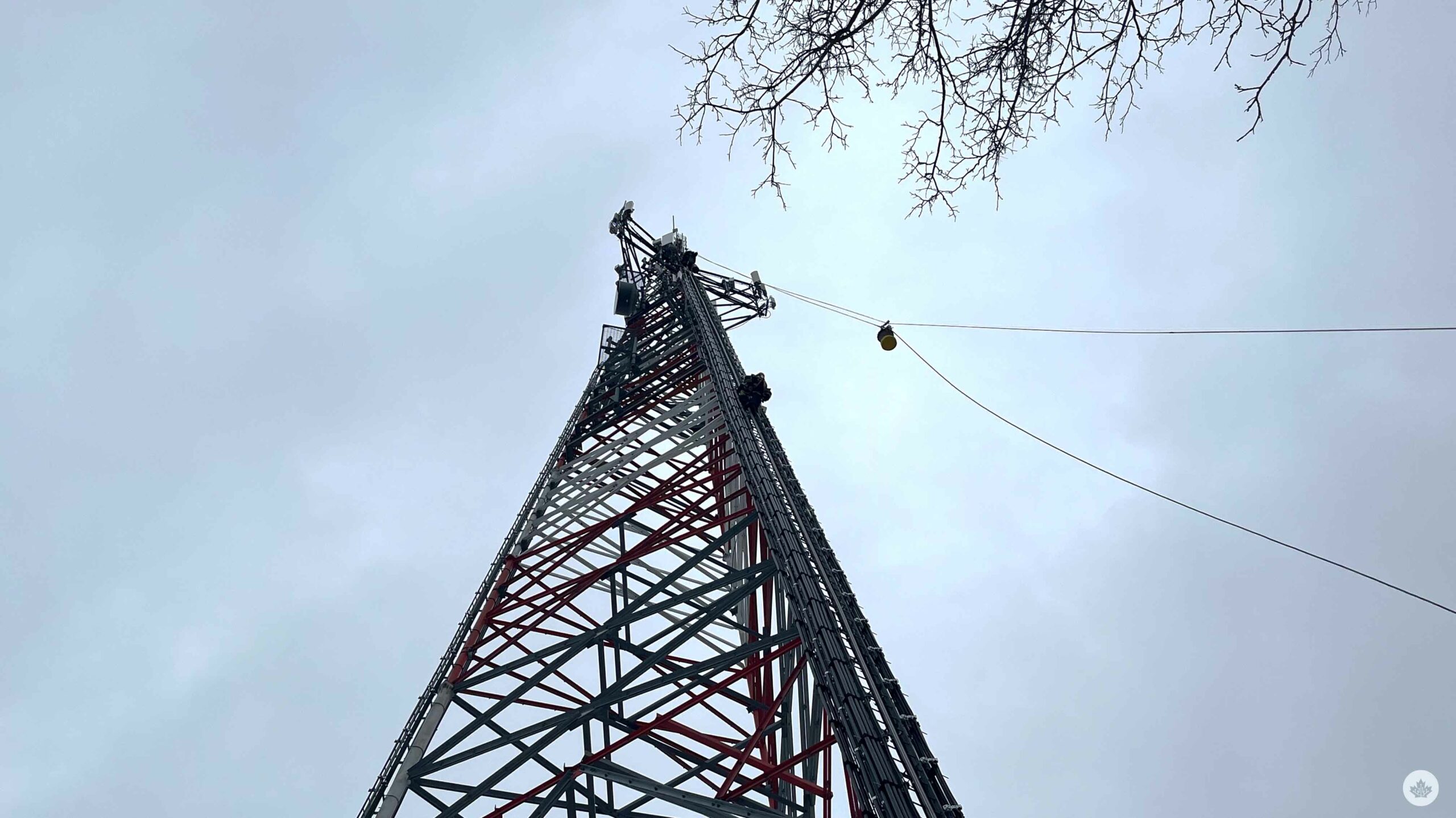 La Nouvelle-Écosse investit dans de nouvelles tours : Rogers modernise ses infrastructures existantes !