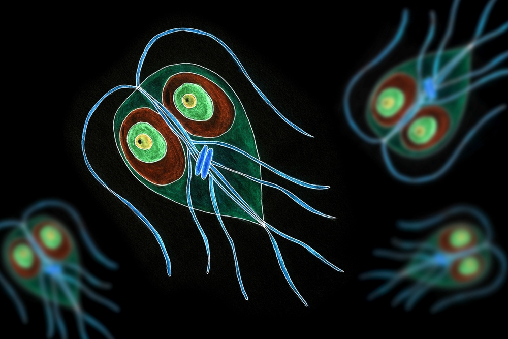 Les Parasites : Un Fléau Invisible à Déjouer