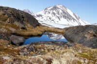 Des fossiles révèlent que le Groenland était autrefois sans glace – et pourrait le redevenir !