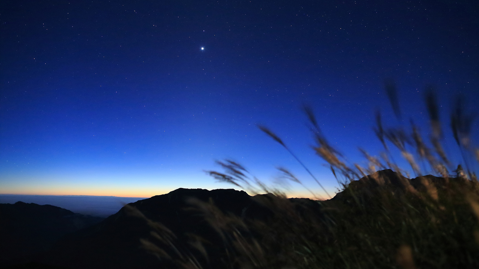 Quelle est l’étoile la plus brillante du ciel ? Découvrez comment les saisons influencent notre ciel étoilé !