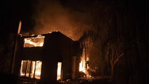 Un incendie de forêt près d’Athènes assombrit le ciel et progresse à toute vitesse