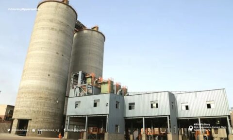 BUA Cement : Une Chute de Plus de 20% de sa Valeur Marchande en Deux Jours à Cause d’une Baisse des Bénéfices