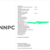 Les 200 milliards de nairas investis par le Nigeria : Pourquoi la réhabilitation de ses raffineries en déclin reste un échec depuis 2021 ?