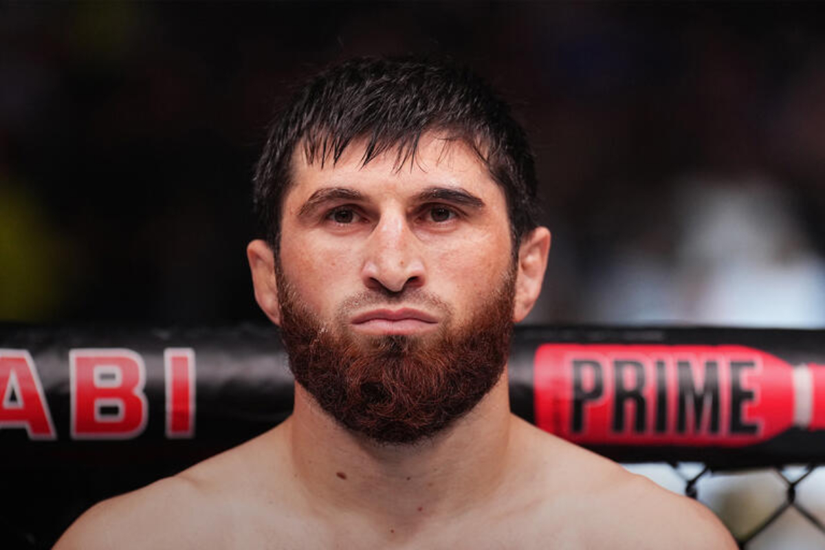 Magomed Ankalaev réagit à l’annonce du combat entre Alex Pereira et Khalil Rountree : « Je n’ai besoin de la pitié de personne !