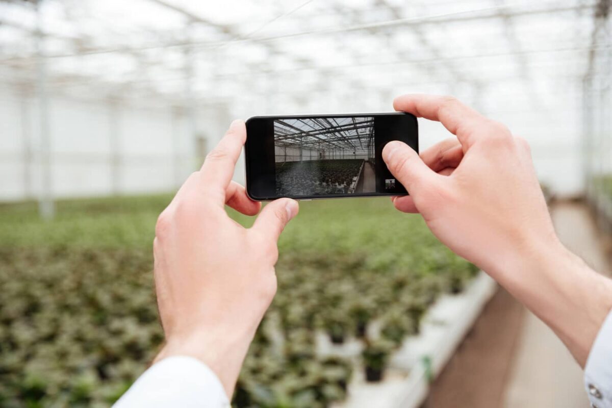 StarFusion : une méthode révolutionnaire de fusion pour l’agriculture de précision