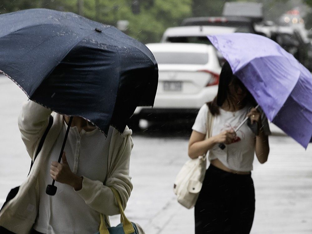 actualités Deux personnes sur un trottoir, cachées par des parapluies pliés sous le vent.