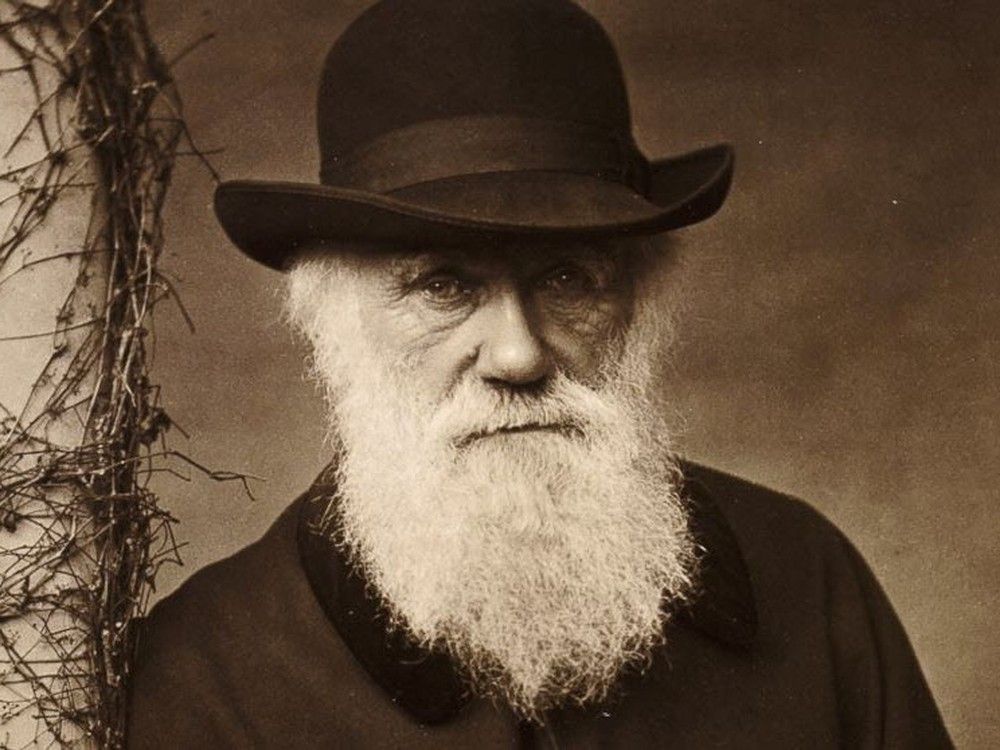 actualité Charles Darwin dans une photo sépia.