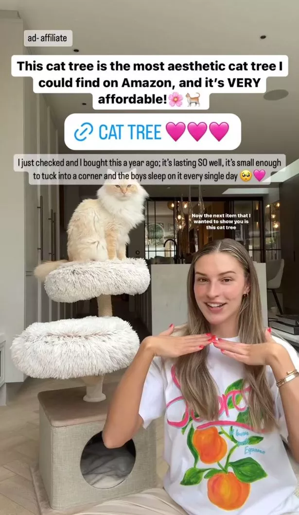 arbre à chat de Zara McDermott