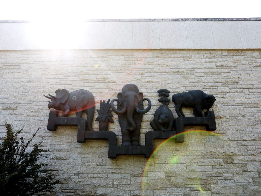 Bâtiment du RAM