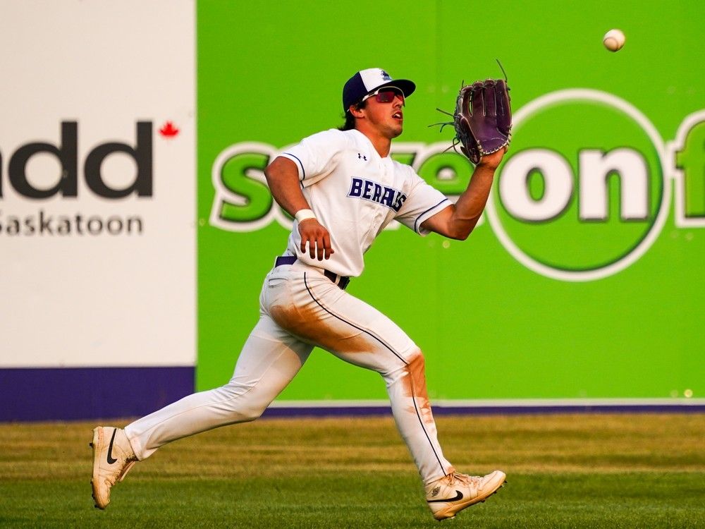 actualités Carter Beck des Saskatoon Berries