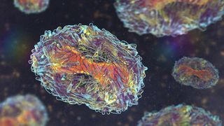 science Une représentation numérique en 3D montrant la structure moléculaire du virus <a href=