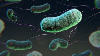 science A 3d rendering of rod-shaped bacteria with tiny tails