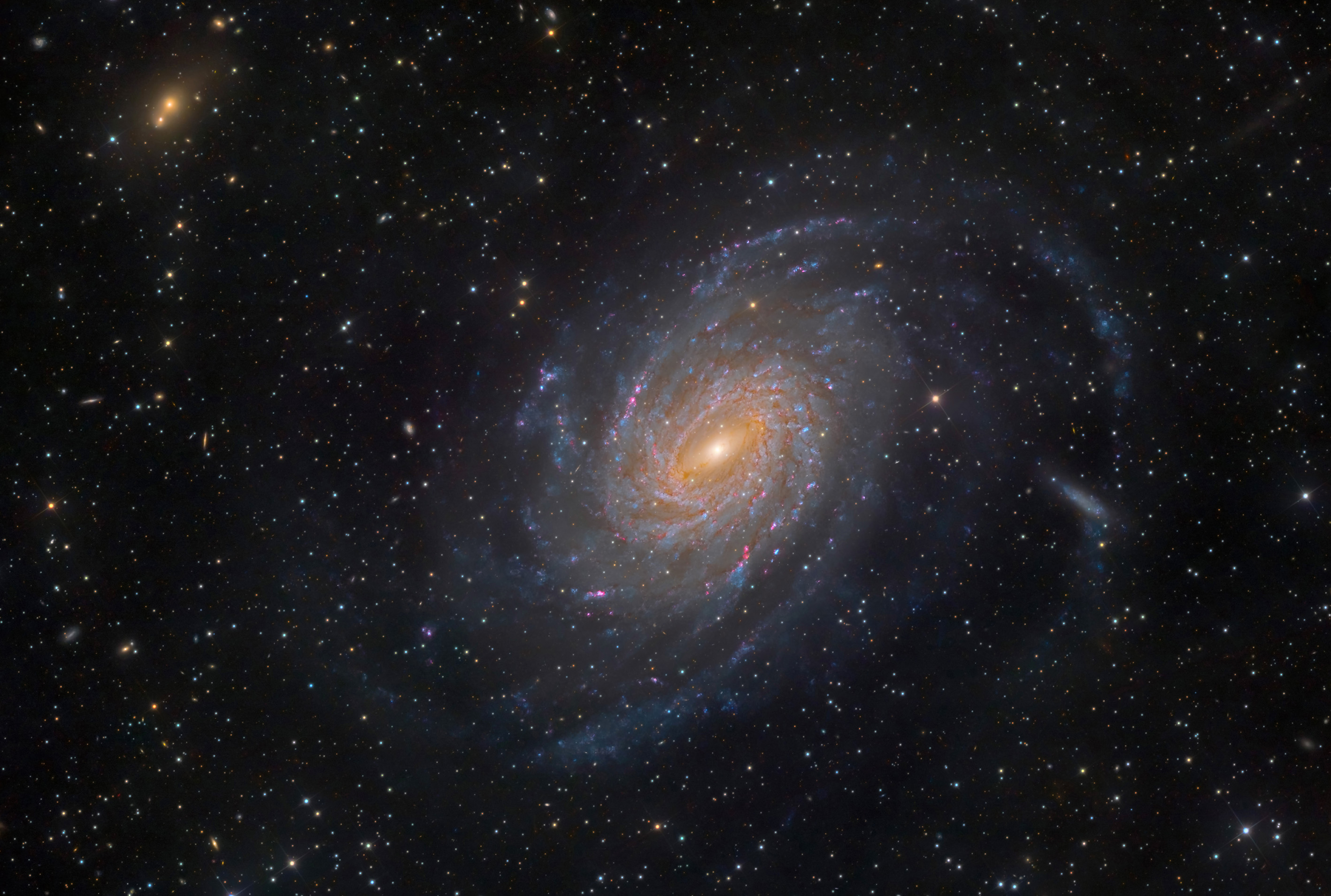 Galaxie Spirale M81