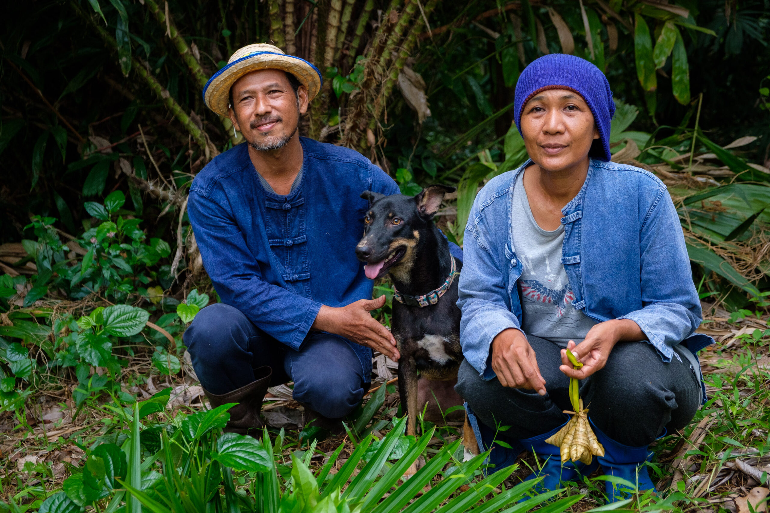 Agriculture agroforestière en Thaïlande