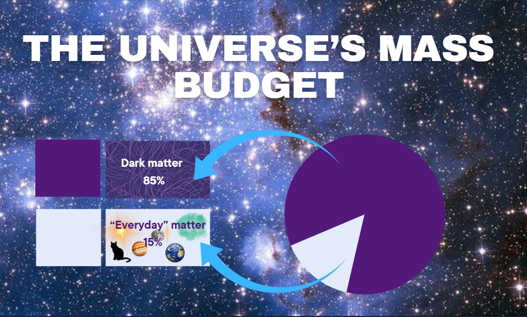 science Un graphique circulaire montrant le budget de la matière noire.