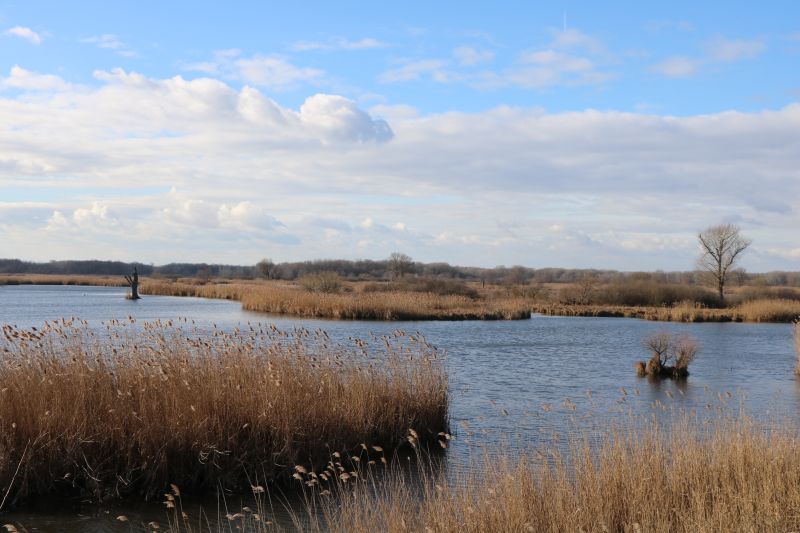 Lac Fertő, lacs hongrois