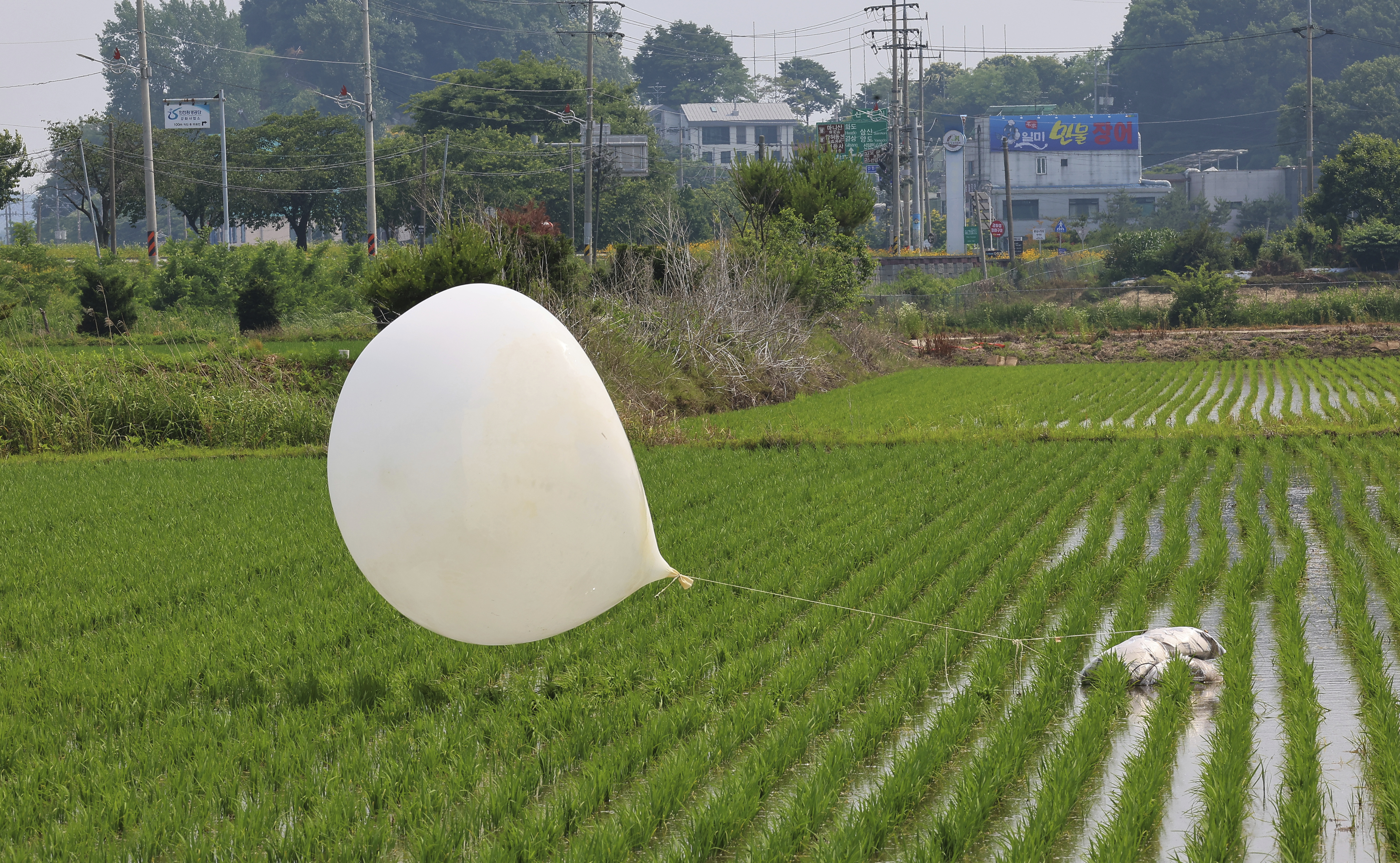 Les forces armées de la Corée du Sud signalent que la Corée du Nord a de nouveau lancé des ballons, probablement chargés de déchets, en direction du Sud.