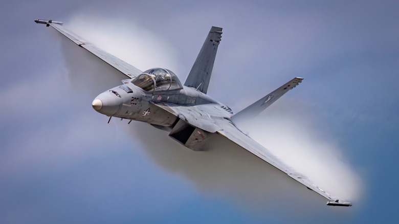 technologie F/A-18 Super Hornet en vol