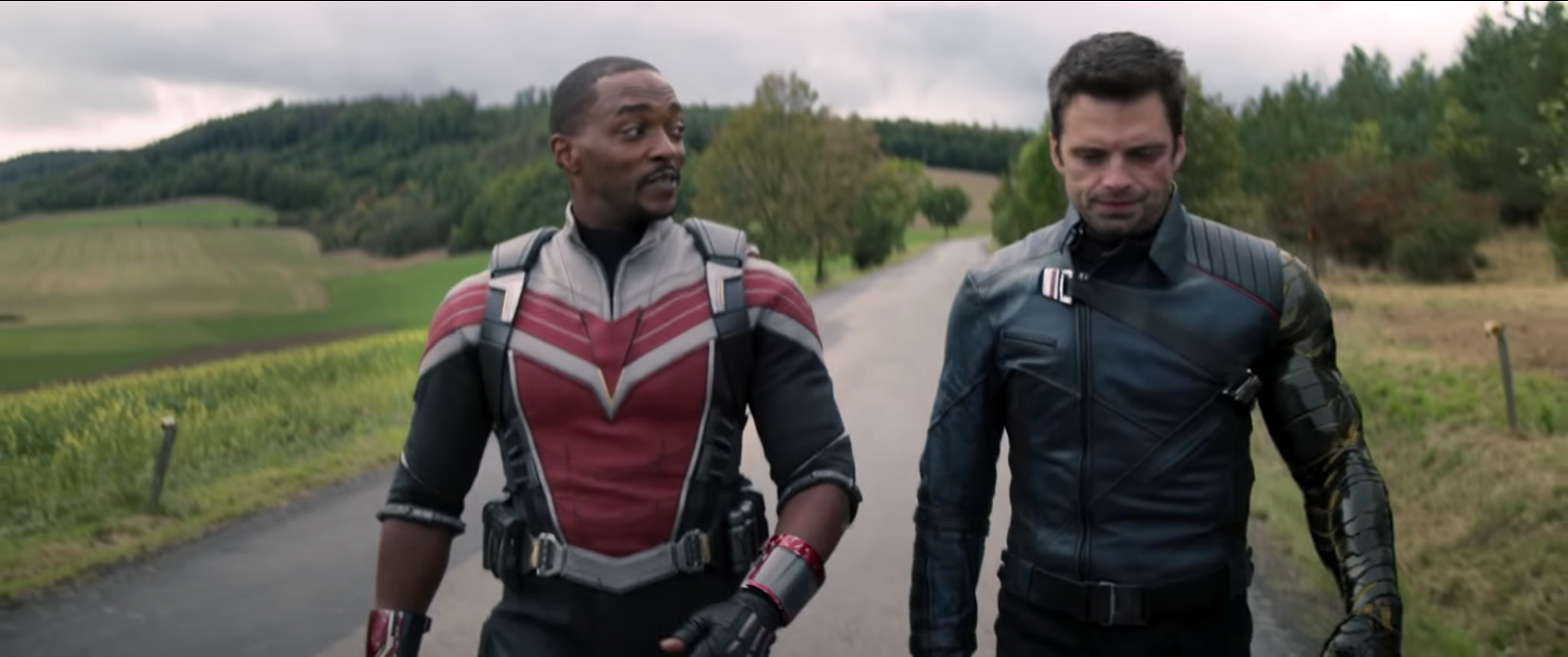 The Falcon and the Winter Soldier