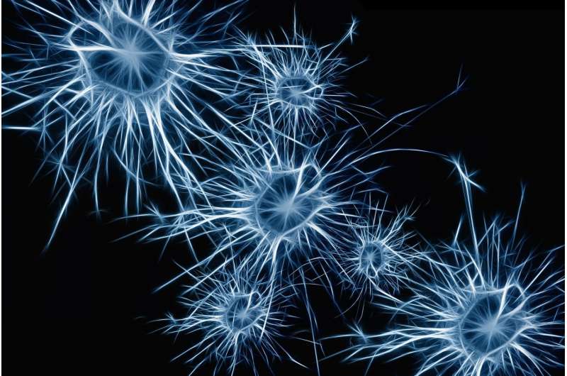 neurone en médecine