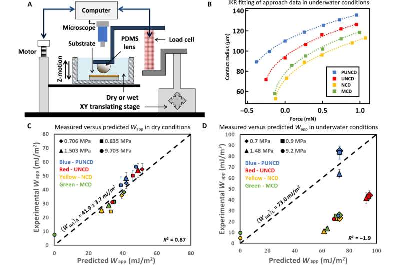 science Nouvelle recherche remet en question la sagesse conventionnelle sur l'adhésion des surfaces humides