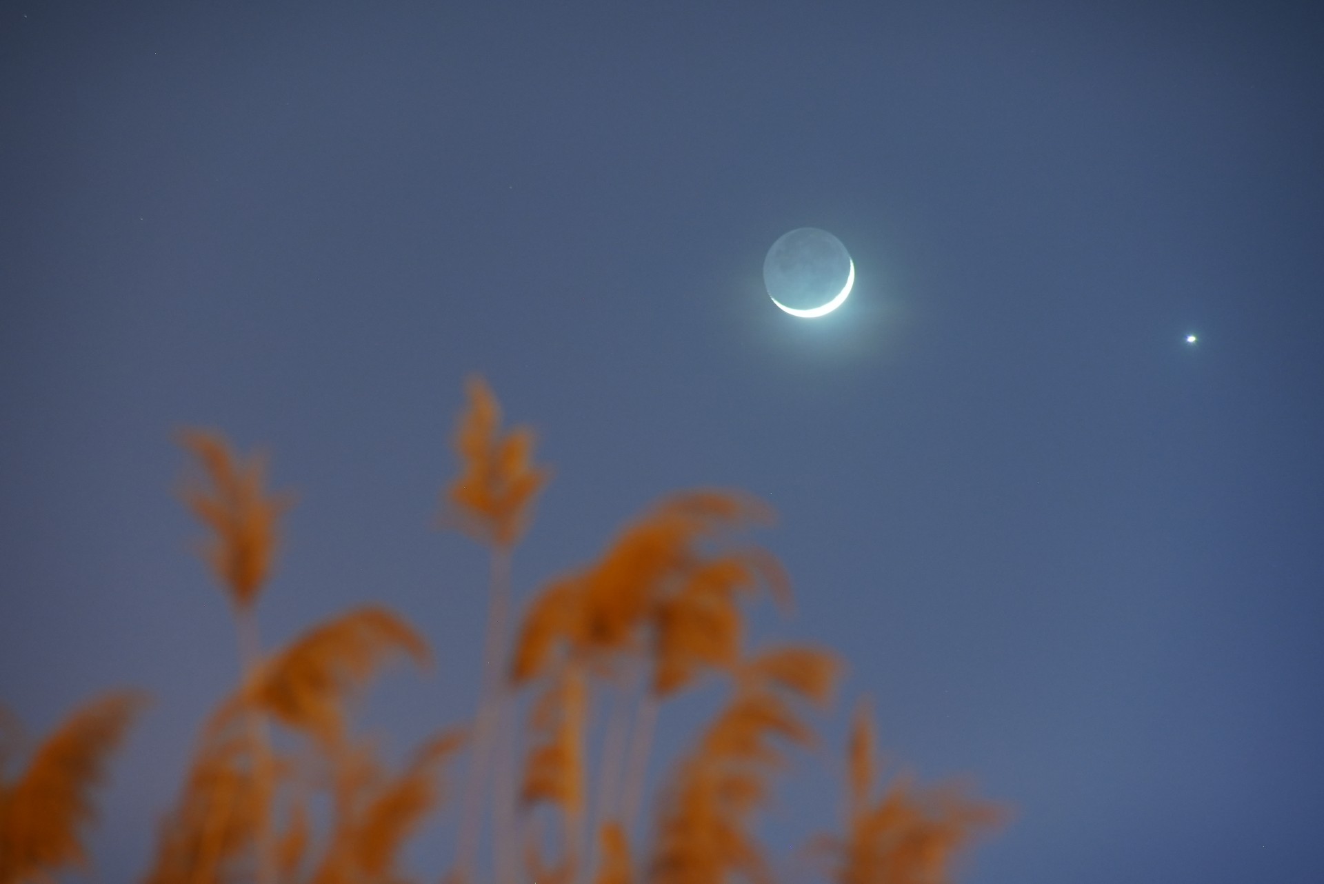 science une fine lune croissante dans le ciel avec un orbe lumineux à côté