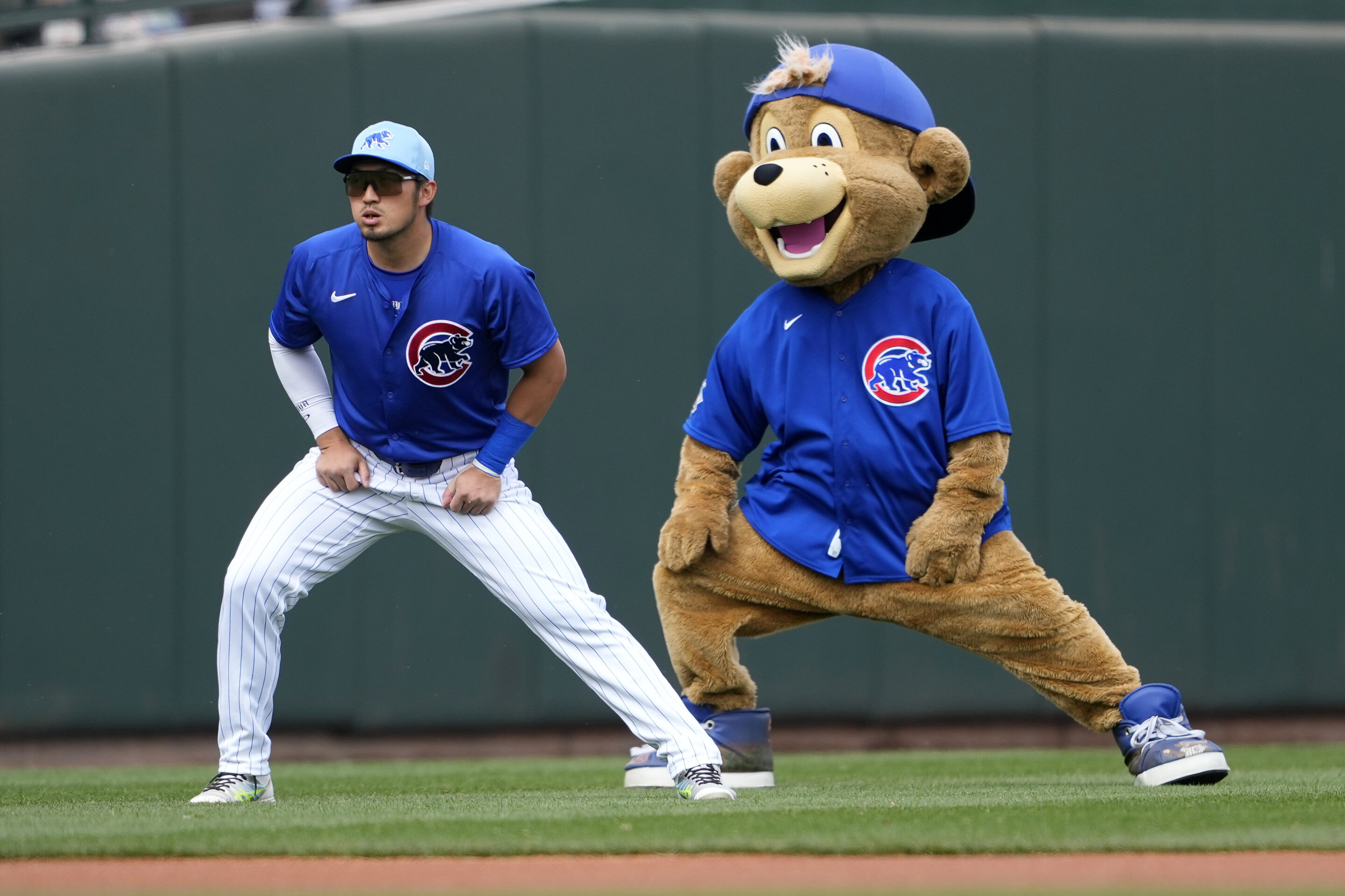 Mascotte des Chicago Cubs