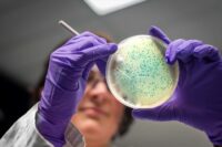 La résistance aux antibiotiques : un fléau qui pourrait coûter la vie à 39 millions de personnes d’ici 2050