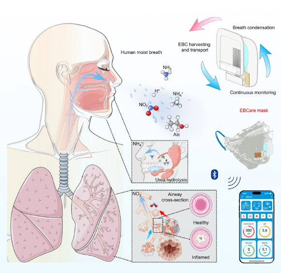 EBCare: New Smart Mask Can Be Used to Assess Metabolic and Respiratory Conditions