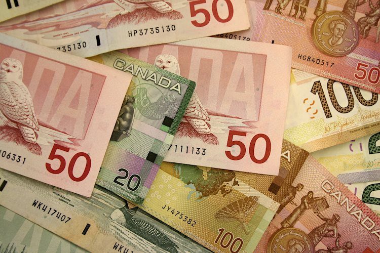 USD/CAD rises to near 1.3500 due to lower crude Oil prices