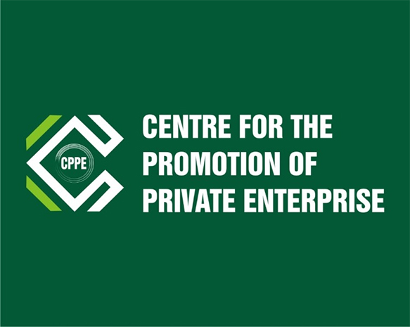 Why FCCPC Should Not Ask Traders to Crash Prices – CPPE