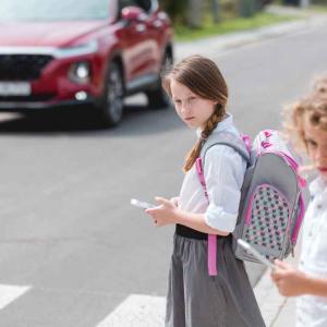 Austrian online map helps parents to plan safe school routes