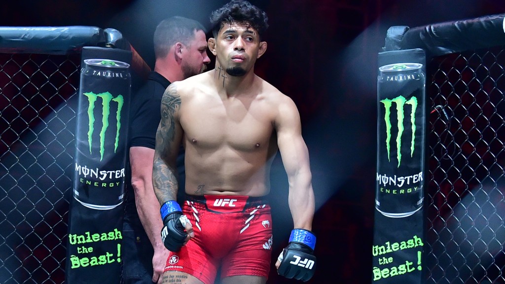 Jonathan Martinez vs. Marcus McGhee joins UFC 309 lineup in New York