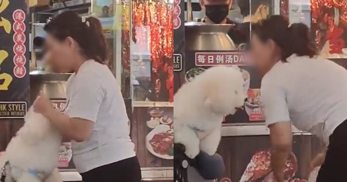 ‘Inconsiderate and selfish’: Woman criticised for cleaning pet dog’s fur at Yishun coffee shop, Singapore News