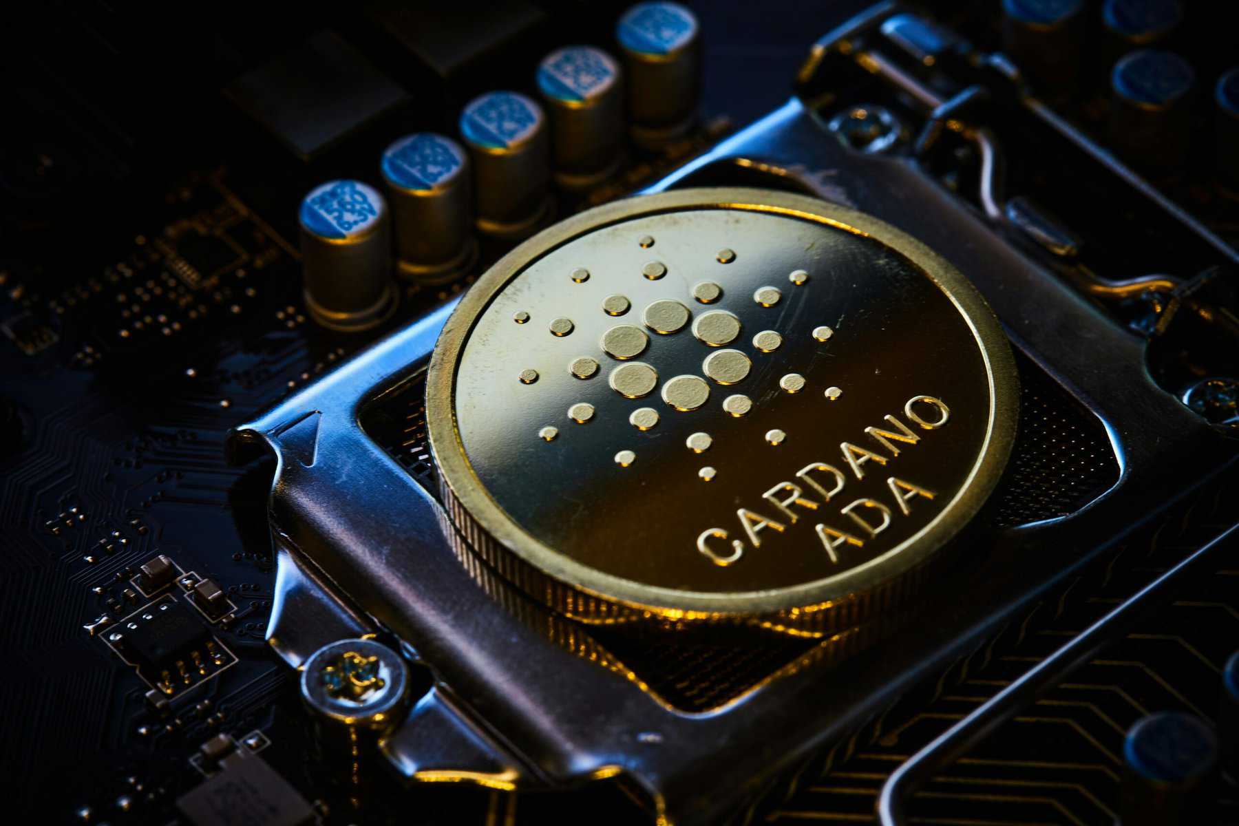 Cardano’s Market Share Crashes: 89.2% Plunge Since 2021 Peak