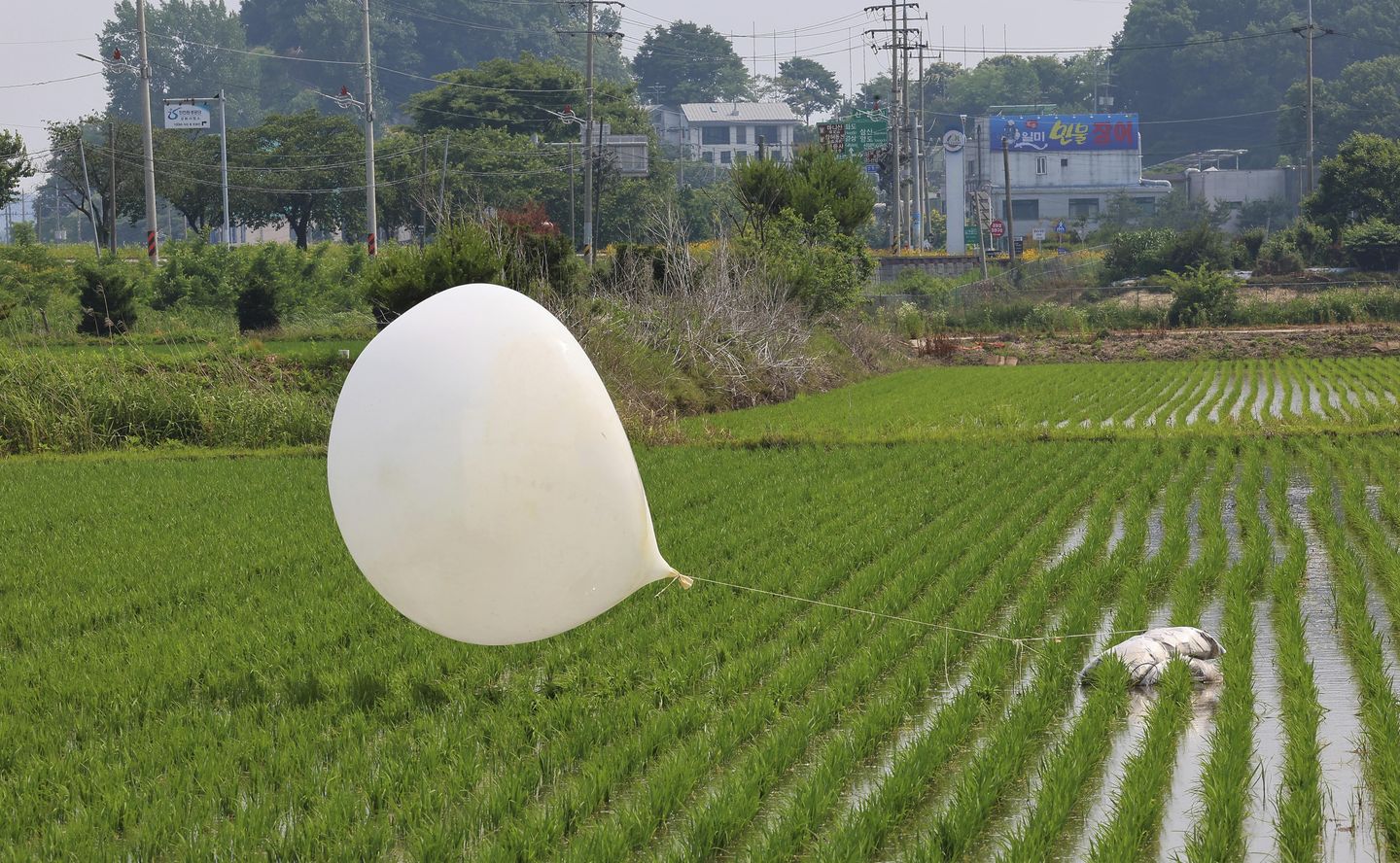 North Korea has again launched trash-carrying balloons across border, South Korea says